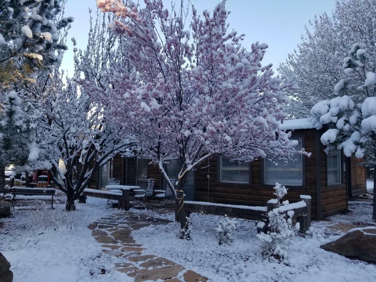 West Winds Lodge Ruidoso Bagian luar foto